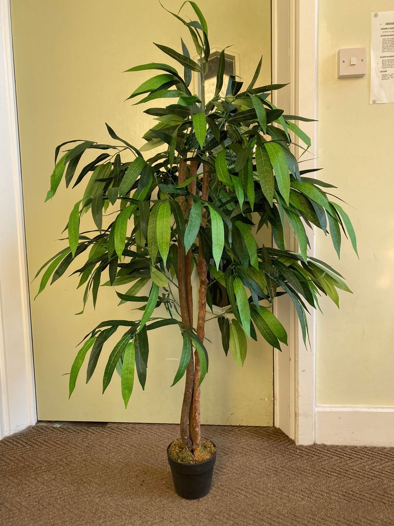 Very Large Impressive Artificial Mango Tree Best Seller Etsy UK