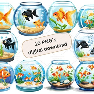 Schattige vissen in aquarium Clipart-bundel-10 hoge kwaliteit png-bestanden, journaling, papierkunst, wenskaarten, plakboekvoorraad, kwekerij ambacht 4S-4
