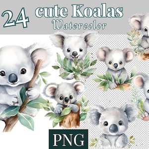 24 watercolor cute Koala PNG, Sticker Clipart cute Koala, cute Koala, Sticker Clipart cute Koala set - 746