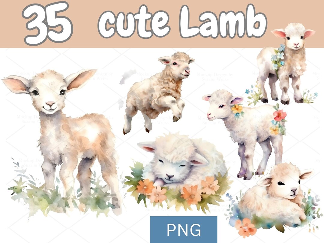 Watercolor Lamb Clipart | Cute Baby Sheep PNG Bundle (digital Download ...