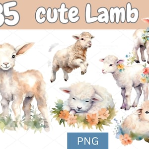35 Cute Lamb PNG | Watercolor Baby Lamb Clipart Bundle | Spring Easter Lamb Illustrations for DIY Crafts, Nursery Decor & Cards | 725