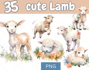 Watercolor Lamb Clipart | Cute Baby Sheep PNG Bundle (Digital Download)