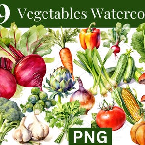 Ensemble de 29 légumes aquarelle PNG – Clipart végétarien peint à la main pour décoration de cuisine, cartes de recettes, agendas, travaux manuels, impressions | 679