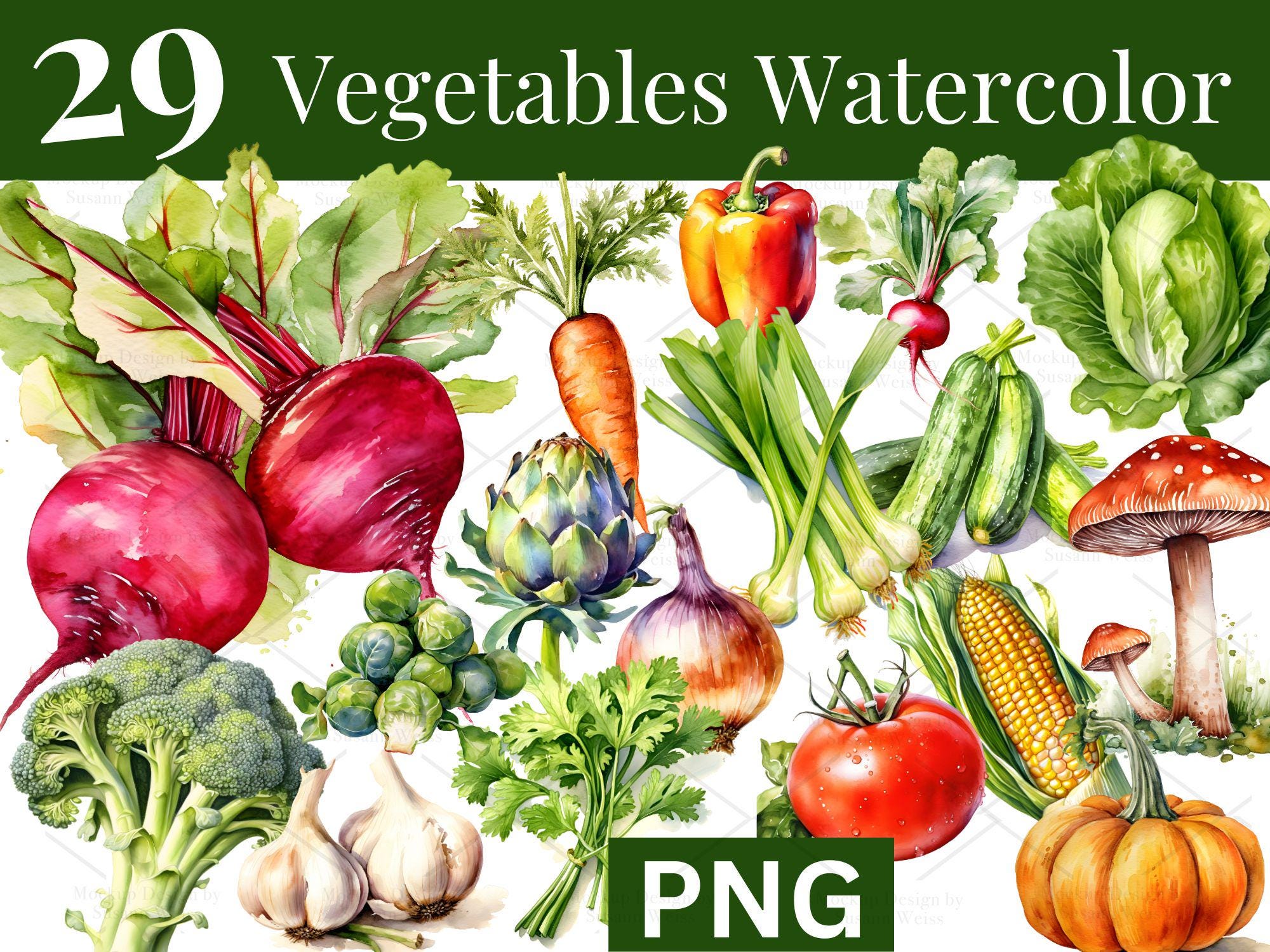 Watercolor Vegetables Clipart – Hand-painted Veggie PNG Bundle (digital ...