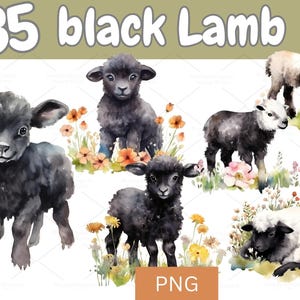 35 Cute Black Lamb PNG – Watercolor Baby Sheep Clipart for Spring, Farm Nursery & Floral Decor Sublimation | 725