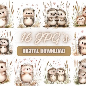 Bezaubernde digitale Igel Illustrationen perfekt für Kinderzimmer Dekor, Karten, Poster und Geschenk-Design, Kommerzielle Nutzung | 10S-21