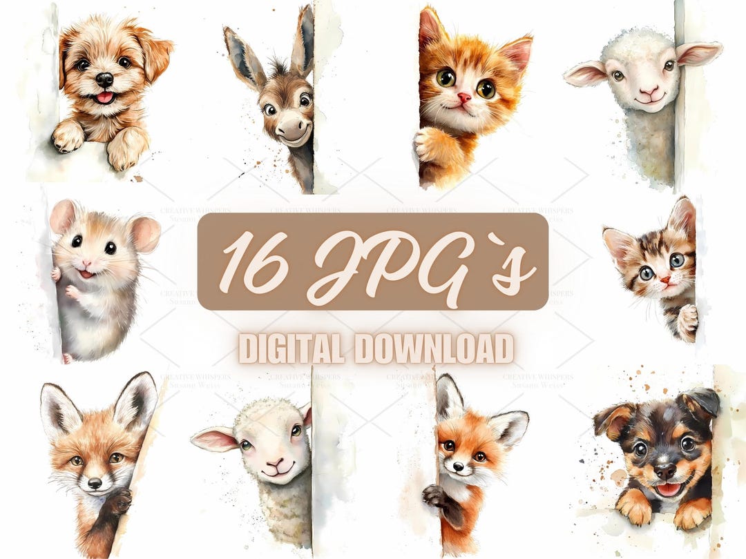 Cute Animals Peeking Behind Corners – Dog, Donkey, Fox, Hamster, Cat ...