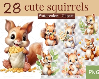 Watercolor Squirrel PNG Set: Shirt Design, Digital Prints (Instant Download)