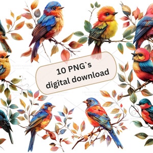 Schattige vogel op een tak Clipart-bundel-10 hoogwaardige png-bestanden, journaling, papierkunst, wenskaarten, plakboekvoorraad, knutselwerk | 4S-3