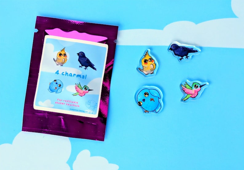 Cute Birdcage Refillable Shaker Keychain ~ Acrylic Charms, Openable ...