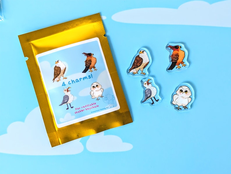 Cute Birdcage Refillable Shaker Keychain ~ Acrylic Charms, Openable ...