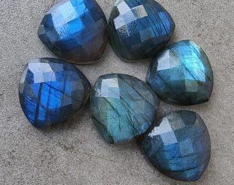 Labradorite Trillion Cabochon: pietra preziosa con taglio di controllo qualità AAA+
