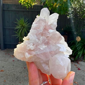 May include: A large, light pink quartz crystal cluster. The crystal has multiple points and a rough, textured surface. The quartz is held in a hand, with a blurred background of a fence, trees, and foliage.