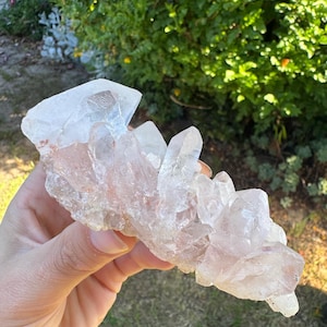 May include: A cluster of clear quartz crystals with a pale pink hue. The crystals are held up against a backdrop of green foliage, showcasing their natural, irregular shapes and translucent quality. The quartz is a natural mineral.