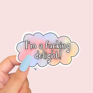 "LUSTIGER ""Im a FUCKING DELIGHT"" Vinyl-Aufkleber | Wasserflasche/Journal/Planer/Kindle/Laptop/Pc/iPad Aufkleber | Büro/Arbeit/Freundesgeschenk Sticker