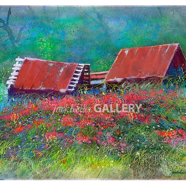 Rust and Roses – Old Sheds with Wild Roses, Americana, Tennessee Abandon Sheds, Roses, Signed Print