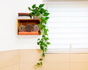 WEISPARK Plantas colgantes artificiales – 2 piezas de hojas de hiedra  falsas de vid plantas de cocina para pared, casa, habitación, jardín,  guirnalda