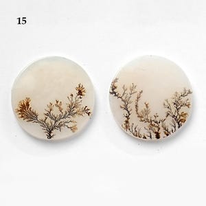 1 paire de cabochons lisses en agate dendritique panoramique, 12 mm - 22 mm cabochon naturel, pierre précieuse de haute qualité, agate panoramique de qualité AAA, pierres précieuses en vrac