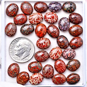 Cabochão de osso de dinossauro fossilizado, cabochão oval de 8 x 10 mm, 30 peças de pedras preciosas para atacado para fazer joias, presente com pedras preciosas curativas