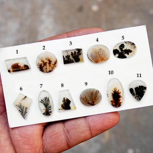 Cabochon d'agate mousse dendritique pittoresque à dos plat, pierres précieuses en vrac pour la fabrication de bijoux