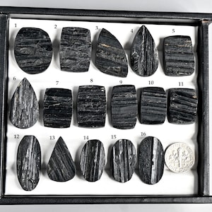 May include: A collection of sixteen black tourmaline gemstones in various shapes, including oval, rectangular, and teardrop. The stones are displayed in a black tray, with a US dime for size comparison. The tourmaline pieces have a striped texture.