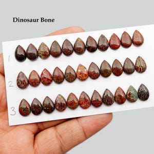 Natuurlijke dinosaurusbot cabochon, mix vorm gladde cabochon, edelsteen voor het maken van sieraden Zeldzame natuurlijke edelsteen, helende edelsteen cadeau voor liefde