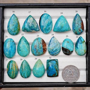 K&ouml;nnte beinhalten: Eine Sammlung von f&uuml;nfzehn polierten t&uuml;rkisfarbenen Cabochons in einem Pr&auml;sentationstablett, nummeriert von 16 bis 30. Jeder Stein weist einzigartige blau-gr&uuml;ne Muster auf. Eine US-Vierteldollarm&uuml;nze dient unten rechts als Gr&ouml;&szlig;envergleich.
