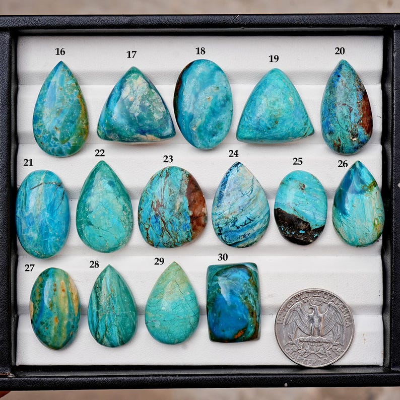 K&ouml;nnte beinhalten: Eine Sammlung von f&uuml;nfzehn polierten t&uuml;rkisfarbenen Cabochons in einem Pr&auml;sentationstablett, nummeriert von 16 bis 30. Jeder Stein weist einzigartige blau-gr&uuml;ne Muster auf. Eine US-Vierteldollarm&uuml;nze dient unten rechts als Gr&ouml;&szlig;envergleich.