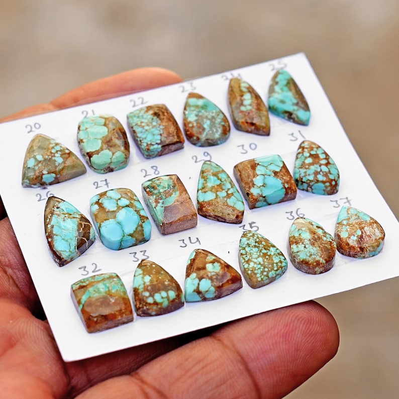Puede incluir: Una colecci&oacute;n de piedras preciosas de turquesa pulidas dispuestas sobre una tarjeta blanca, cada una etiquetada con un n&uacute;mero del 20 al 37. Las piedras presentan formas variadas que incluyen gotas, rect&aacute;ngulos y tri&aacute;ngulos, mostrando una mezcla de azul brillante y matriz marr&oacute;n.