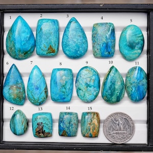 May include: A collection of fifteen polished blue and green gemstones arranged in a black display tray. The stones vary in shape, including teardrop, oval, and rectangular forms. A United States quarter coin is included for scale reference.