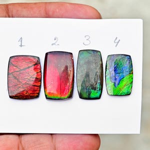 Cabujón de ammolita canadiense iridiscente, gemas sueltas de base plana para la fabricación de joyas.
