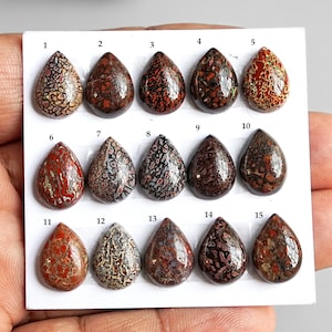 May include: Fifteen teardrop-shaped gemstones with various patterns and colors, including red, brown, and tan. Each stone is numbered from 1 to 15. The gemstones are displayed on a white surface.
