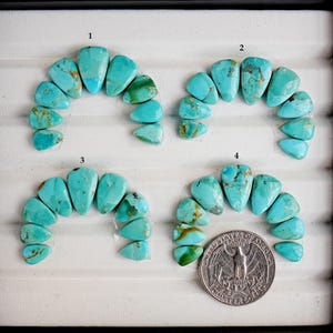 May include: Four sets of turquoise gemstones, each arranged in an arc. The stones vary in shape and have a vibrant turquoise color with brown and green matrix patterns. A quarter coin is included for size reference.