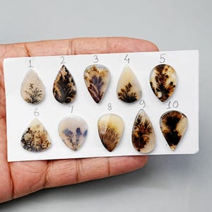 1 pz. Scenic Dendritic Agate Cabochon liscio, 12 mm - 22 mm Cabochon naturale di alta qualità, pietre preziose sciolte di agata scenica di qualità AAA