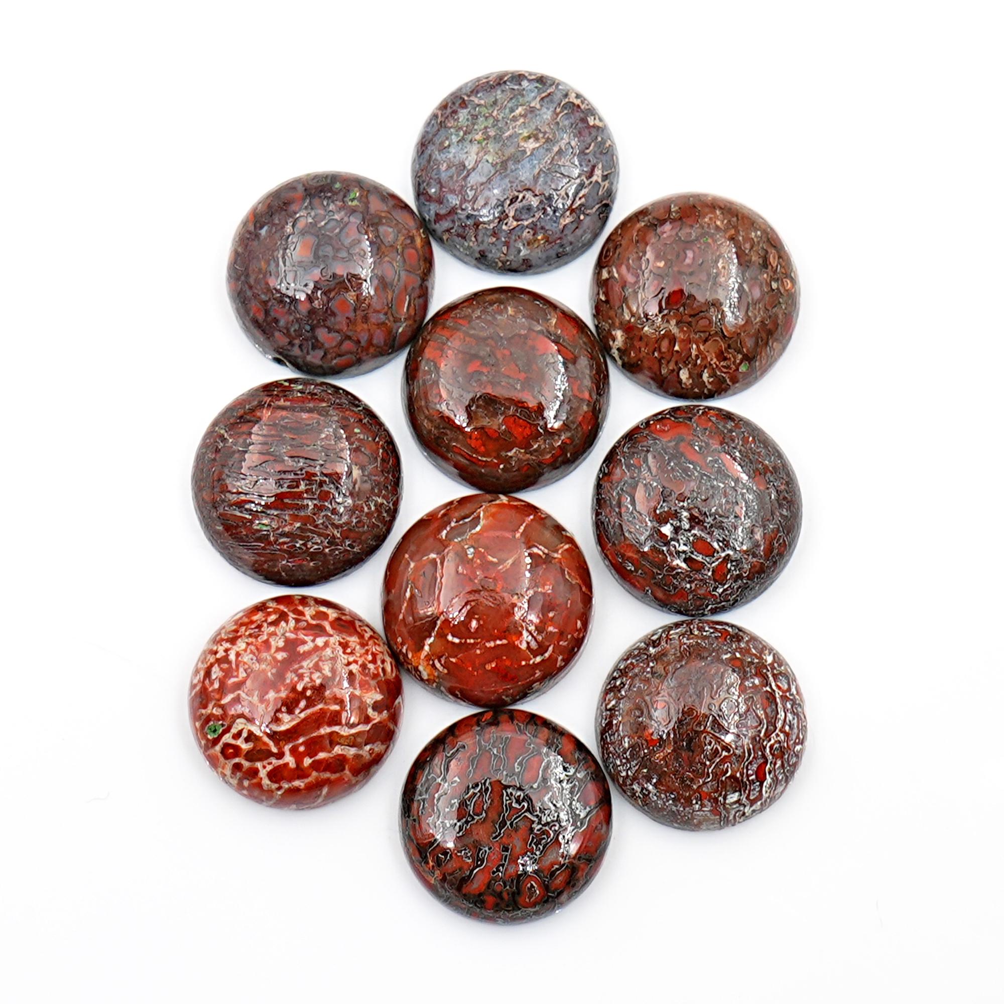 Agatized Dinosaur Bone Cabochon Round Gemstone for Jewelry Making, Rare Fossil Cabochon Gemstone Healing Crystal Gift for Her, Gem Bone Cabs