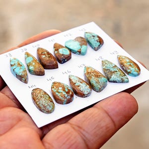 Puede incluir: Una colecci&oacute;n de doce cabujones de turquesa pulidos con patrones de matriz marr&oacute;n, dispuestos sobre una tarjeta blanca etiquetada con los n&uacute;meros del 38 al 49. Cada piedra presenta tonos azul-verdosos &uacute;nicos y vetas distintas.