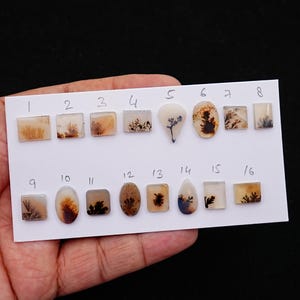 1 pc Scenic Dendrite Moss Agate Smooth Cabochon Natural Gemstone AAA Quality Scenic Agate Flatback Stone for Ring Pendant Jewelry Making