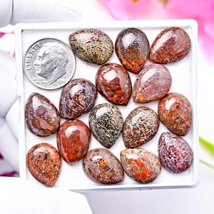 15 peças de cabochão calibrado de osso de dinossauro natural, cabochão liso em forma de lágrima de 12 x 16 mm, lote inteiro de atacado, pedra preciosa para fazer joias