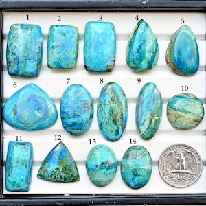 Op de afbeelding: Een verzameling van veertien gepolijste edelstenen in verschillende vormen en maten, voornamelijk in blauwe en groene tinten. Een Amerikaanse kwartdollar munt is inbegrepen ter vergelijking van de grootte. De edelstenen worden in een zwarte bak gepresenteerd.