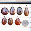 AAA+ Dinosaur Bone Fossil Cabochon: Loose Flatback Gemstones for Jewelry Making product logo