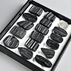 May include: A collection of polished black tourmaline stones, each with visible striations, arranged in a black tray with a white interior. A silver coin is also present. The stones vary in shape, with some rectangular and others teardrop-shaped.
