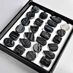 May include: A collection of raw, black tourmaline crystals displayed in a black tray with a white interior. The crystals vary in shape and size, with visible striations and textures. A silver coin is also present in the tray.