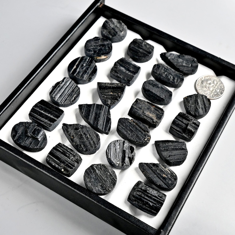 May include: A collection of raw, black tourmaline crystals displayed in a black tray with a white interior. The crystals vary in shape and size, with visible striations and textures. A silver coin is also present in the tray.
