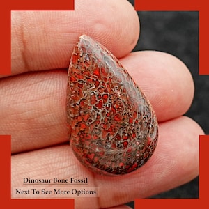 Cabujón de hueso de dinosaurio natural, cabujón liso de formas variadas, piedra preciosa para hacer joyas, piedra preciosa natural rara, piedra preciosa curativa, regalo para el amor.
