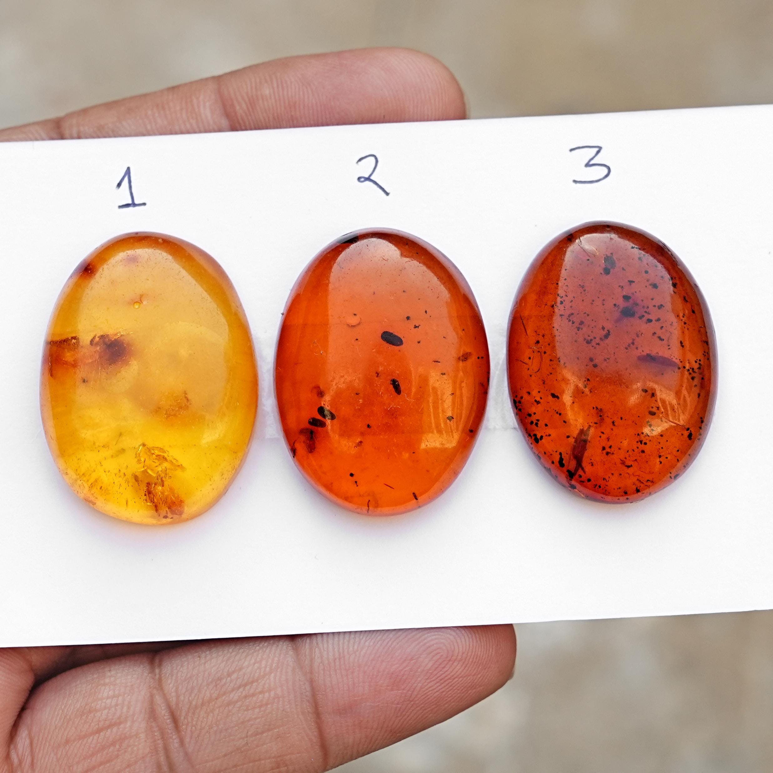 Genuine amber stone - Etsy 日本