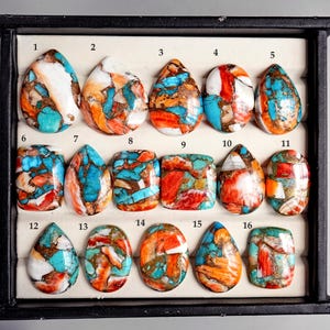 May include: A collection of sixteen polished gemstone cabochons in various shapes, including teardrop, oval, and rectangular. The stones feature a mosaic of colors: turquoise, orange, white, and brown, set against a black background.