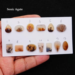 1 pc Scenic Dendrite Agate Smooth Cabochon, 12mm - 22mm Natural Cabochon High-Quality Gemstone, AAA Quality Scenic Agate Loose Gemstones