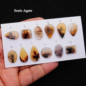 1 pc Scenic Dendritic Agate Smooth Cabochon, 15mm - 26mm Natural Cabochon High-Quality Gemstone, AAA Quality Scenic Agate Loose Gemstones