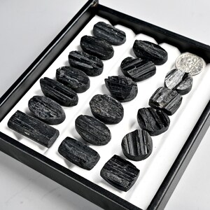 May include: A collection of raw, black tourmaline crystals displayed in a black tray with a white interior. The crystals vary in shape and size, with visible striations and natural textures. A US dime is included for size reference.