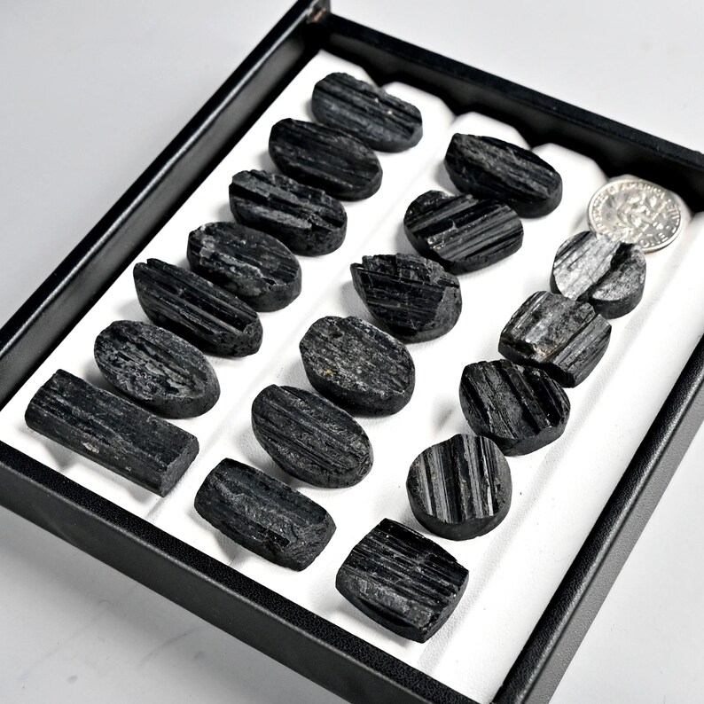 May include: A collection of raw, black tourmaline crystals displayed in a black tray with a white interior. The crystals vary in shape and size, with visible striations and natural textures. A US dime is included for size reference.